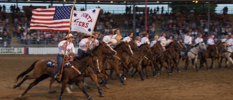 Rodeos Remain Resilient During Recession And Continue To Draw Large Crowds