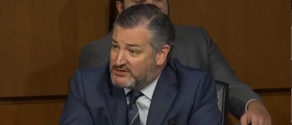Sen. Ted Cruz at SCOTUS confirmation hearing