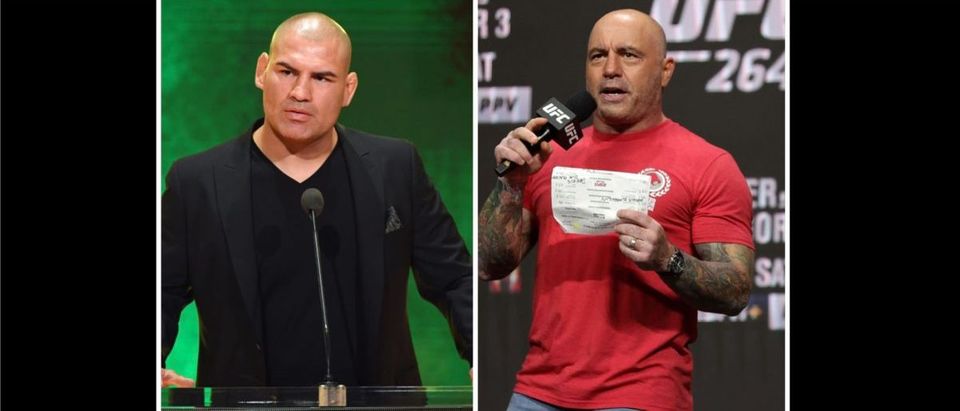 Joe Rogan (Credit: Ethan Miller/Getty Images and Stacy Revere/Getty Images)