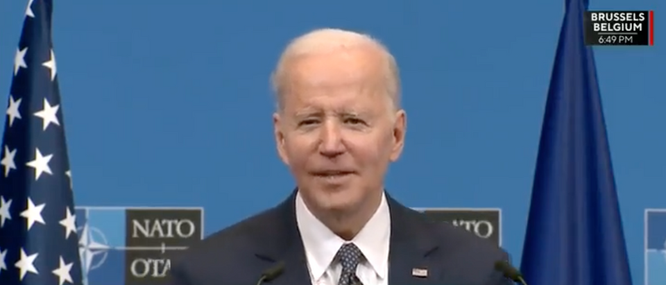 President Joe Biden says sanctions are not meant to deter [Twitter Screenshot The Post Millennial]
