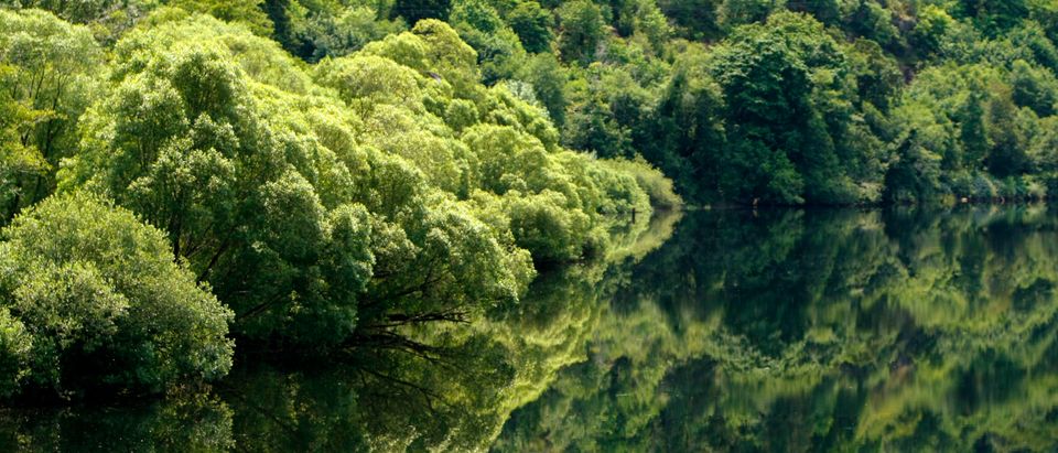 Trees are reflected in the still waters of a river near Eugene, Oregon