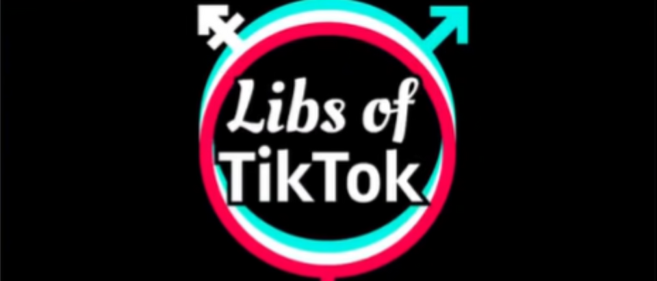 Screenshot/Libs of TikTok logo/Fox News/YouTube