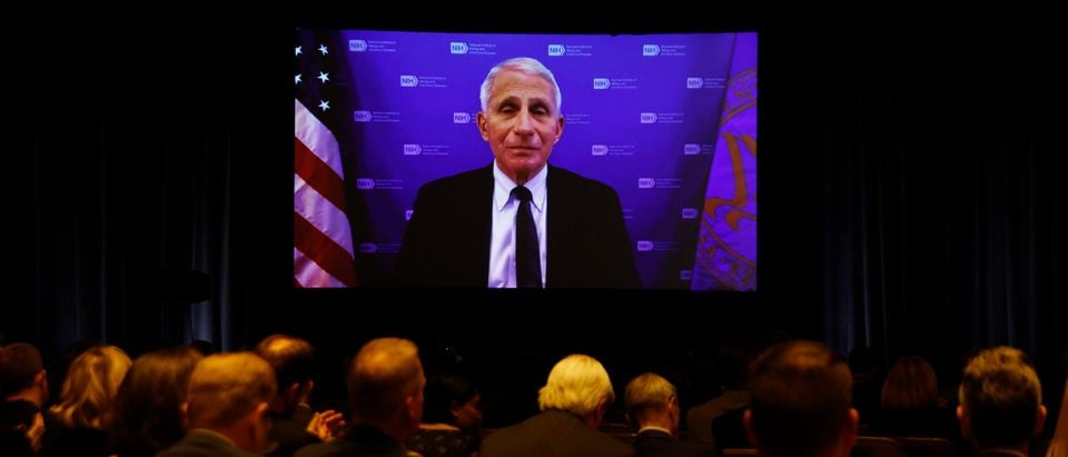 Anthony Fauci Admits When He Might Finally Step Down