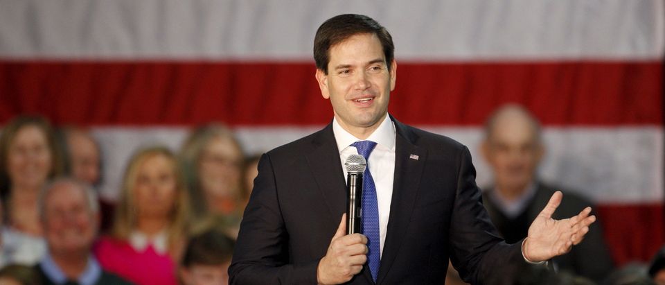 U.S. Republican presidential candidate Marco Rubio speaks at a campaign rally in Raleigh, North Carolina