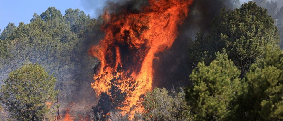 FILE PHOTO: Wildfires near Las Vegas, New Mexico