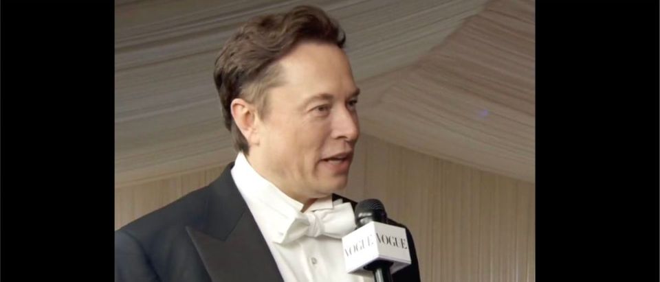 Elon Musk (Credit: Screenshot/Twitter Video https://twitter.com/therecount/status/1521285312659472384)