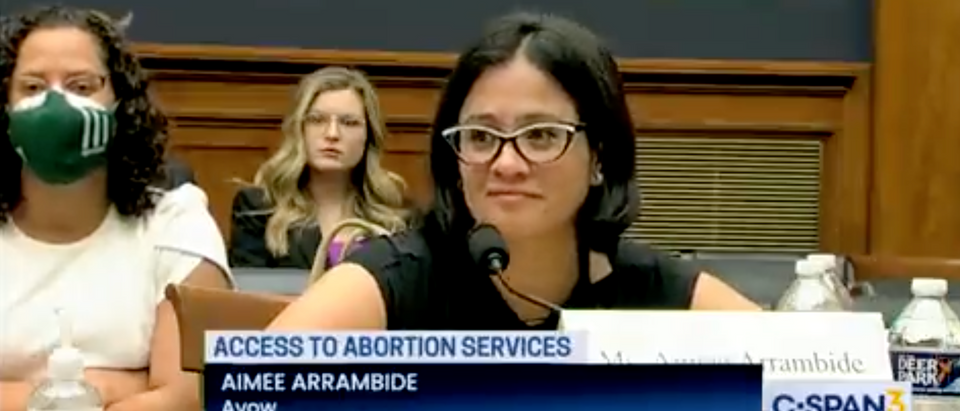 AVOW executive director Aimee Arrambide testifies before the House Judiciary Committee on abortion [Twitter Screenshot Greg Price]