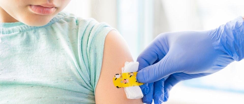 Vaccination of a little girl's arm [Shutterstock/Ira Lichi]