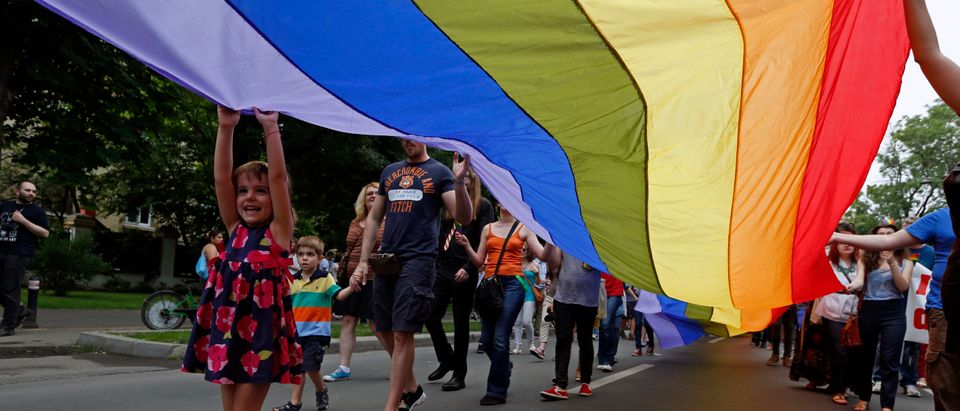 A child touches the rainbow flag during Romania's gay community Gay Fest 2014 pride parade in Bucharest