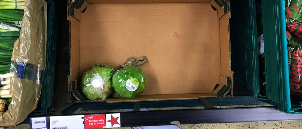 Remaining iceberg lettuces are seen next to a sign reading "Temporarily out of stock" in a supermarket in London