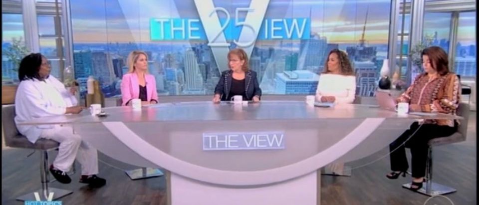 "The View" panel