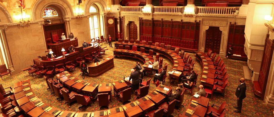 New York State Assembly session in Albany, New York