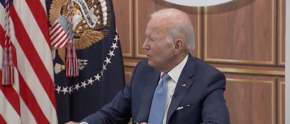 Pres. Joe Biden said he wasn't aware of the seriousness of the baby formula crisis until April. (Screenshot YouTube, Joe Biden Meets Virtually With Administration Officials & Infant Formula Manufacturers 6/1)