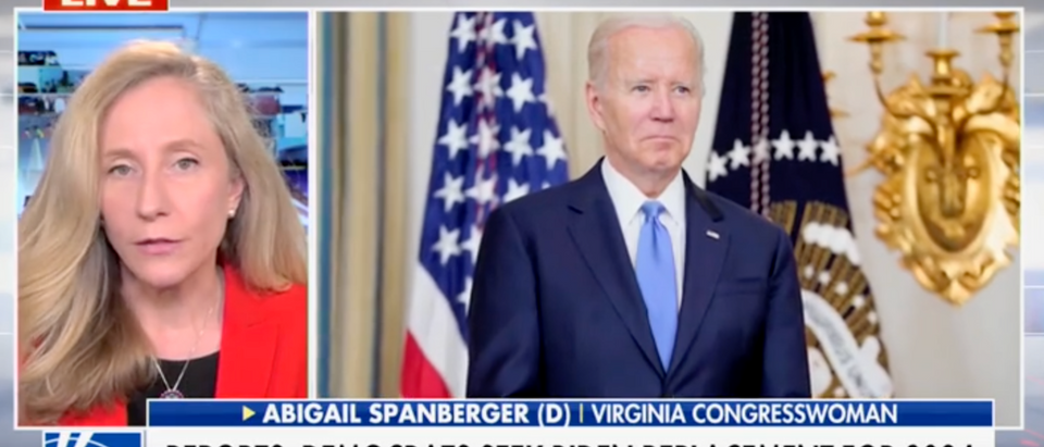 Democratic Virginia Rep. Abigail Spanberger talks about her upcoming race on Fox News [Screenshot America's Newsroom]