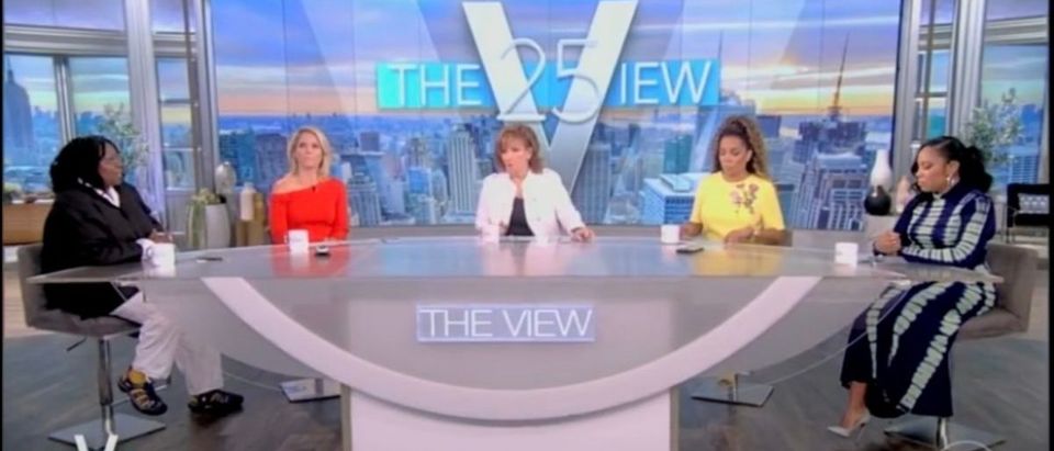 'The View' panel