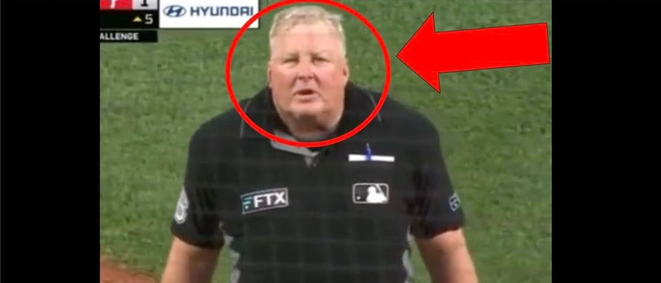 MLB Umpire (Credit: Screenshot/Twitter Video https://twitter.com/batflipcenter/status/1544860753764687873)