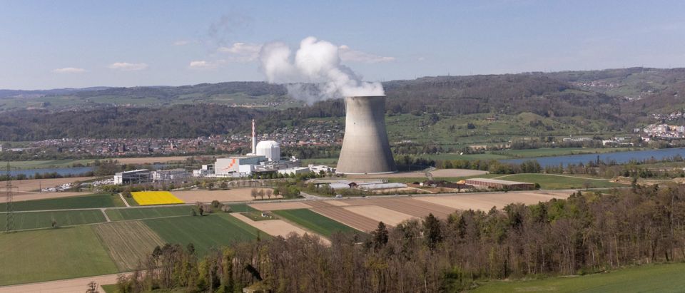 FILE PHOTO: Nuclear power plant in Switzerland