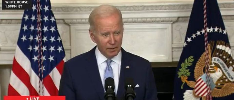 President Joe Biden speaks about the economy [Screenshot Twitter Greg Price]