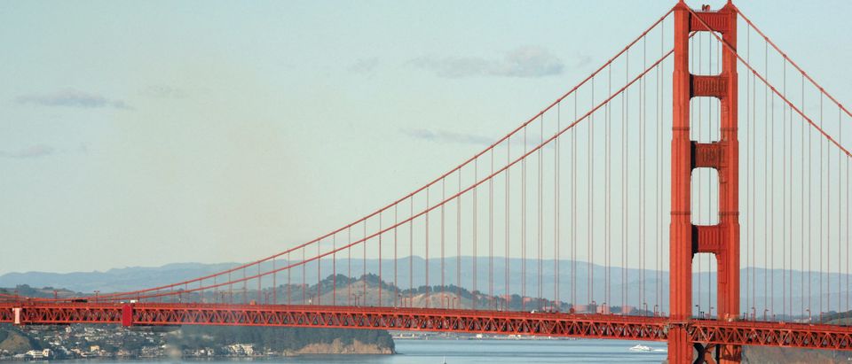 FILE PHOTO: Container ship sails beneath Golden Gate Bridge en route to port in California