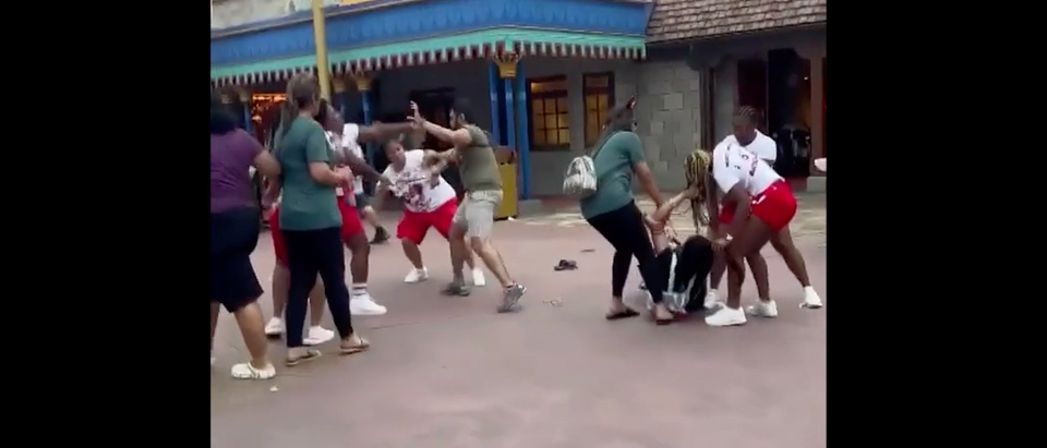 A massive brawl breaks out in Disney World [Screenshot Vimeo WDWNT]