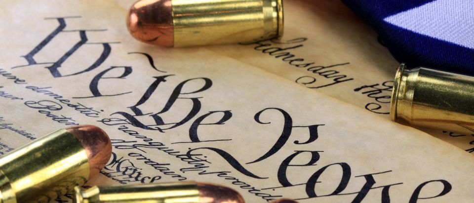 Ammunition on the Constitution [Shutterstock/larry1235]