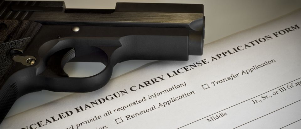 Concealed carry handgun permit [Shutterstock/rdlamkin]