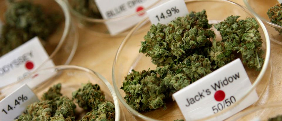 Marijuana buds are shown in a medical marijuana dispensary in Oakland