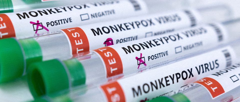 FILE PHOTO: Illustration shows test tubes labelled "Monkeypox virus positive and negative