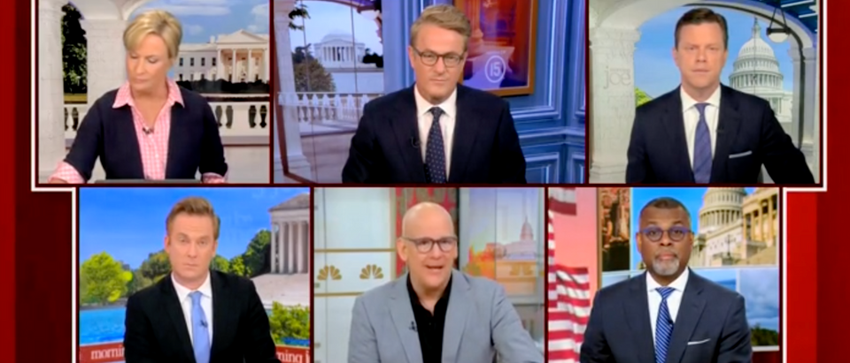 MSNBC panel freaks out about Gov. Ron DeSantis [Screenshot Morning Joe]