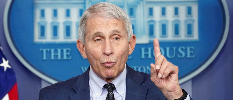 FILE PHOTO: Fauci speaks during a press briefing at the White House in Washington