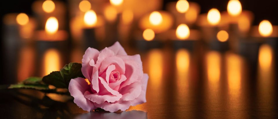 Pink,Rose,Focused,On,The,Grave,And,Lighted,Candles,Unfocused
