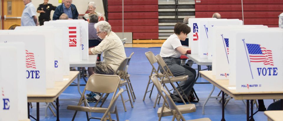 New Hampshire Holds Its Midterm Primary Election