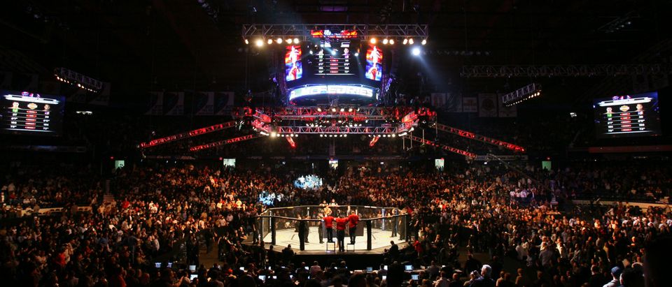 UFC 90 Silva v Cote