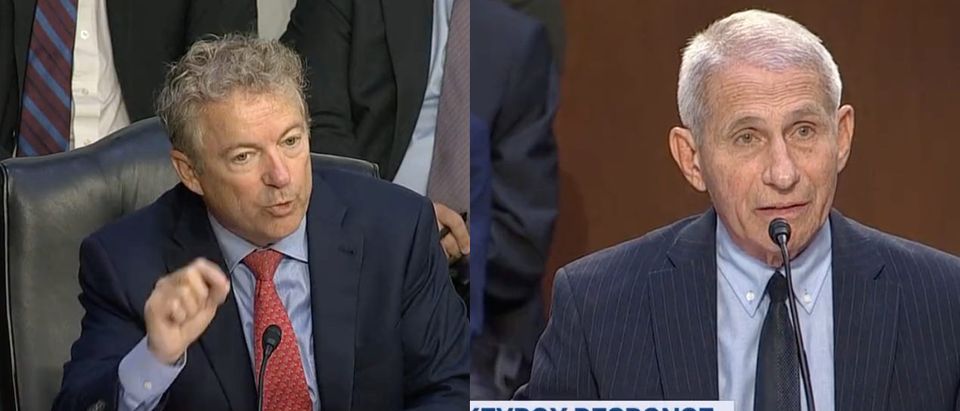 Republican Kentucky Sen. Rand Paul threatens Dr. Anthony Fauci for not disclosing pharmaceutical royalties [Twitter CSpan]
