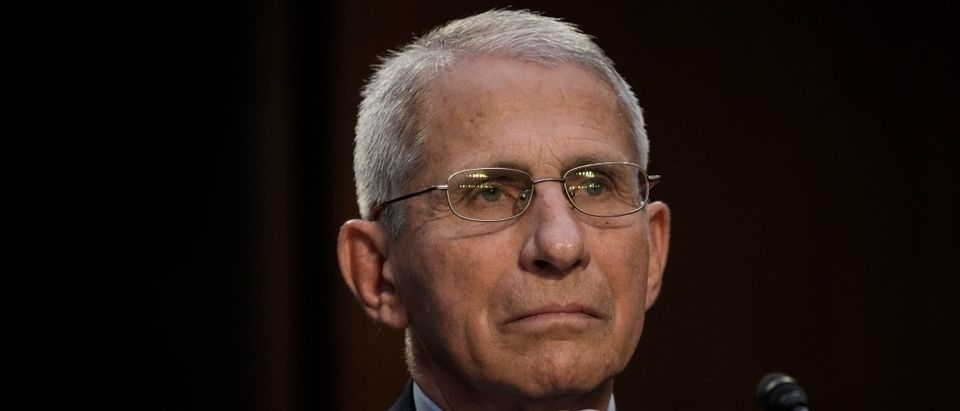 Fauci Personally Funded, Edited EcoHealth Study On Bat Viruses After Pandemic Already Began