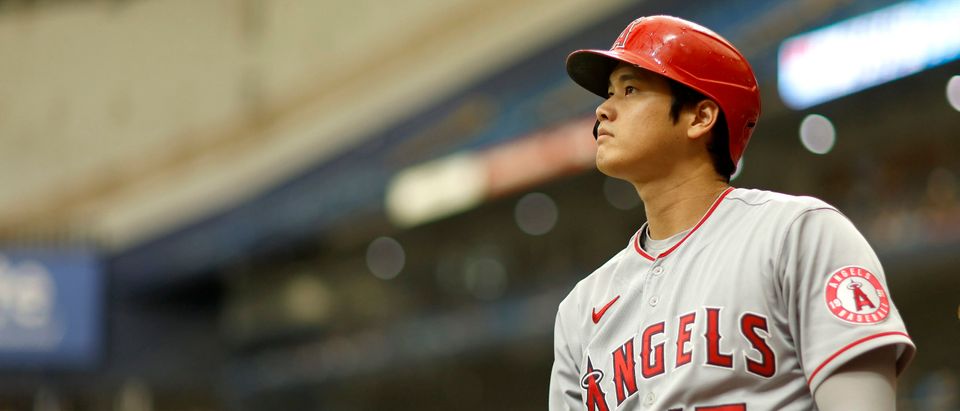 ST PETERSBURG, FLORIDA - AUGUST 25: Shohei Ohtani #17 of the Los Angeles Angels plays during a game against the Tampa Bay Rays at Tropicana Field on August 23, 2022 in St Petersburg, Florida. (Photo by Mike Ehrmann/Getty Images)