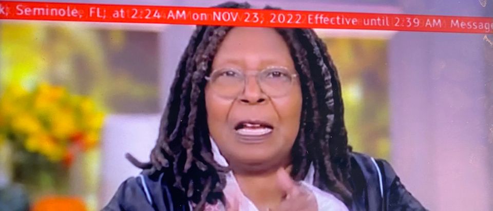 "The View" co-host Whoopi Goldberg