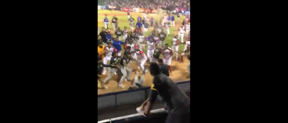 All Out Brawl Breaks Out At Venezuelan Baseball Game Fans Get Involved