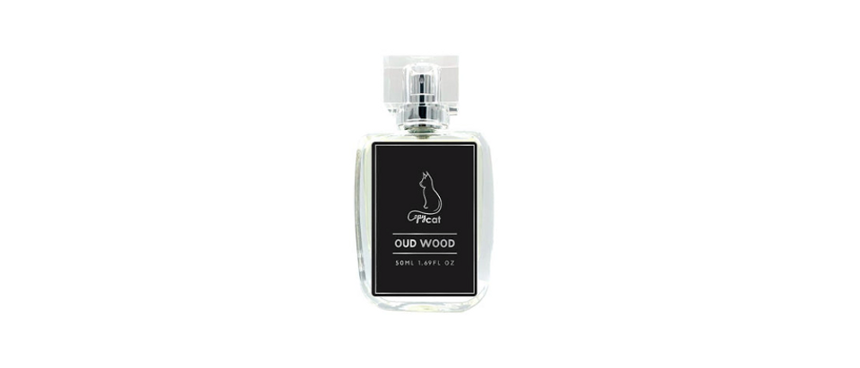 The Best Cheap Colognes. Can Tom Ford and Creed Clones Stack up to