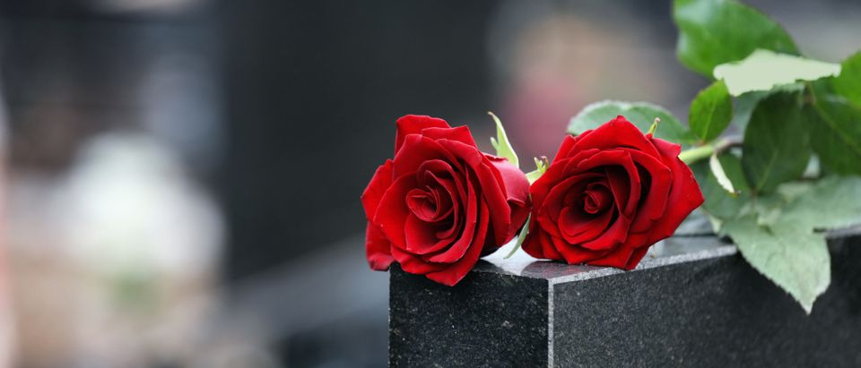 Red,Roses,On,Black,Granite,Tombstone,Outdoors,,Space,For,Text.