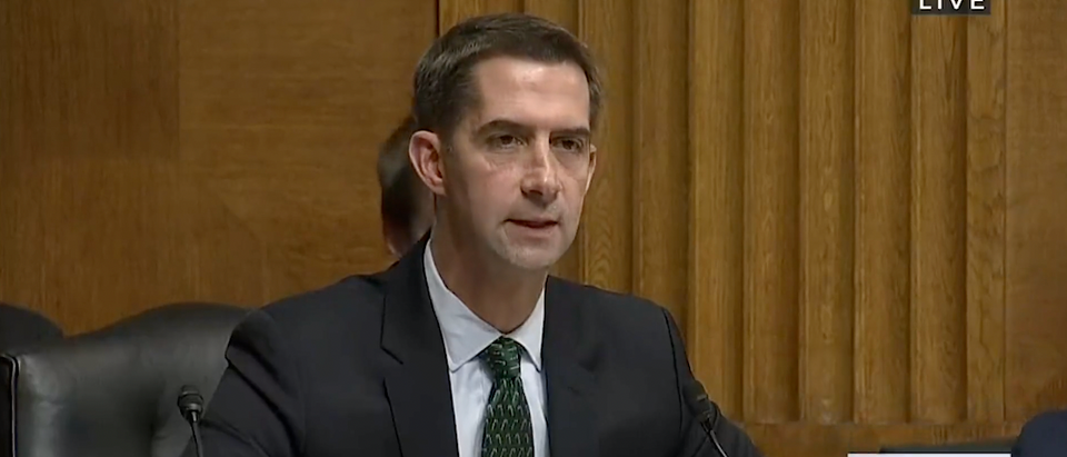 Republican Arkansas Sen. Tom Cotton confronted Kroger's CEO on Nov. 29 after he suggested Republicans help save business while Democrats impose heavy regulations. [Screenshot/Public/Twitter — User: Townhall]