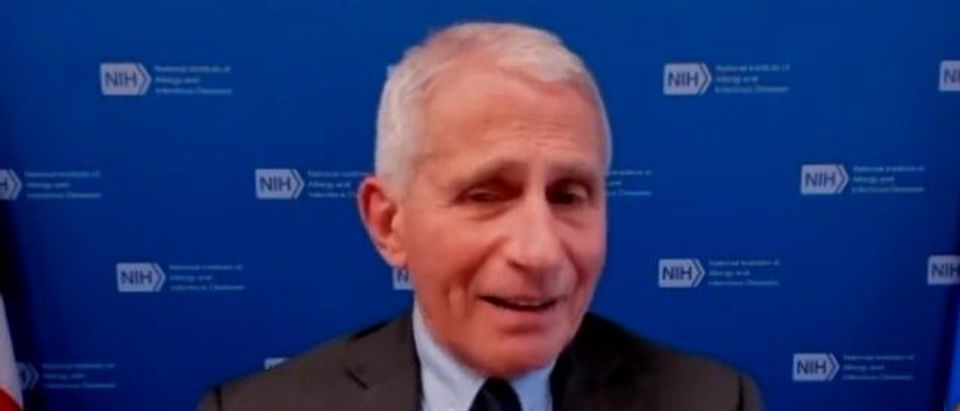 'All Of Them, With One Exception': Fauci Takes Shot At Trump When Asked About Favorite President