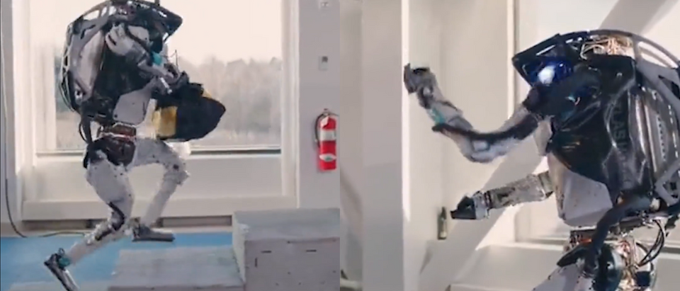 New Video Of Humanoid Robots Running An Obstacle Course Is The Most  Terrifying Thing You'll See Today | The Daily Caller