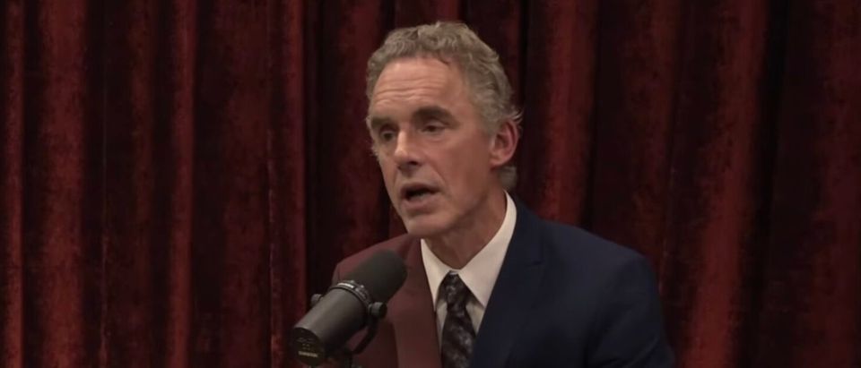 Exactamente Tableta Consciente All Hell's Going To Break Loose': Jordan Peterson Predicts Dire  Consequences For Hospitals Transitioning Children | The Daily Caller