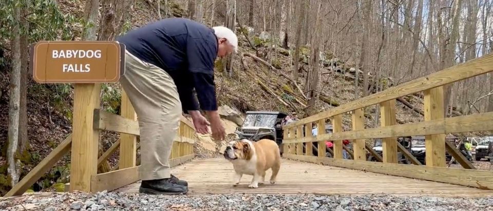 West Virginia Gov. Jim Justice Names Waterfall After His Dog | The ...