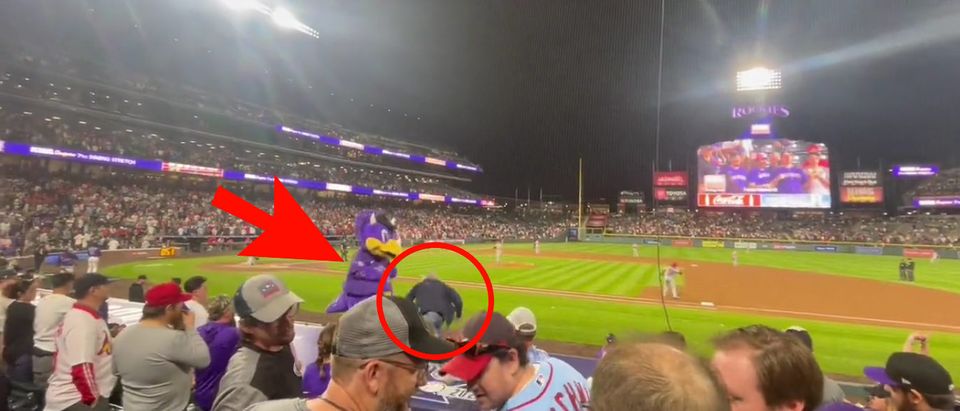 Some Loser Attacked Colorado Rockies Mascot Dinger During Game Against St.  Louis Cardinals