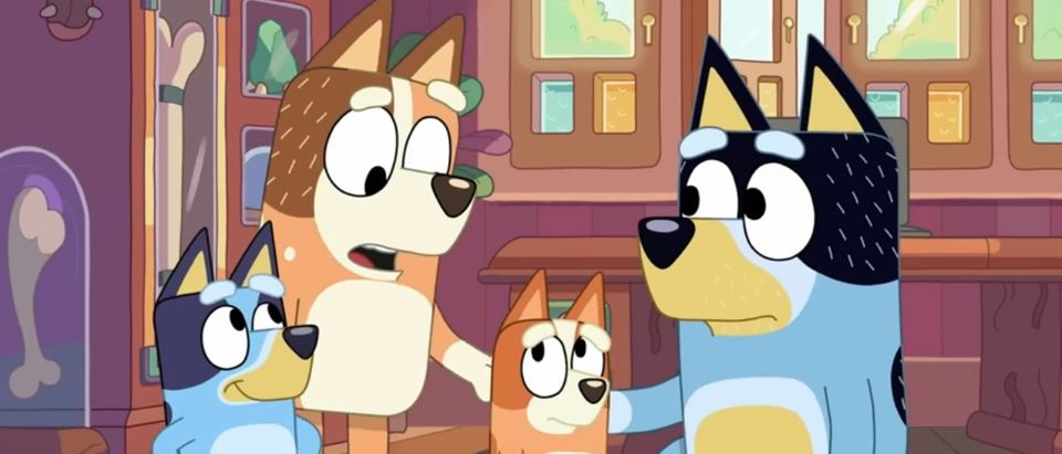 Bluey' Episode Called Out For Fat-Shaming