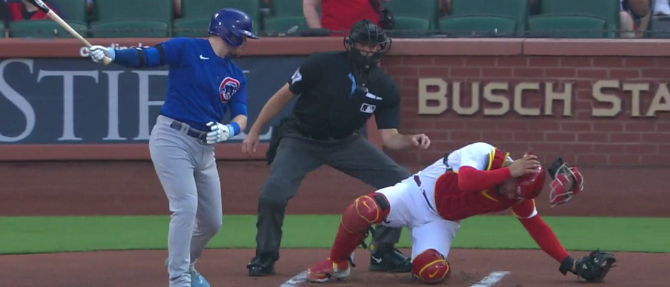 Cubs-Nats Umpire Gets Revenge By Jokingly Punching Willson