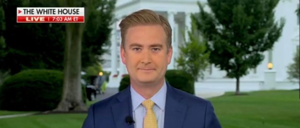 Peter Doocy Reveals Why He Was Absent From Network For Months | The ...