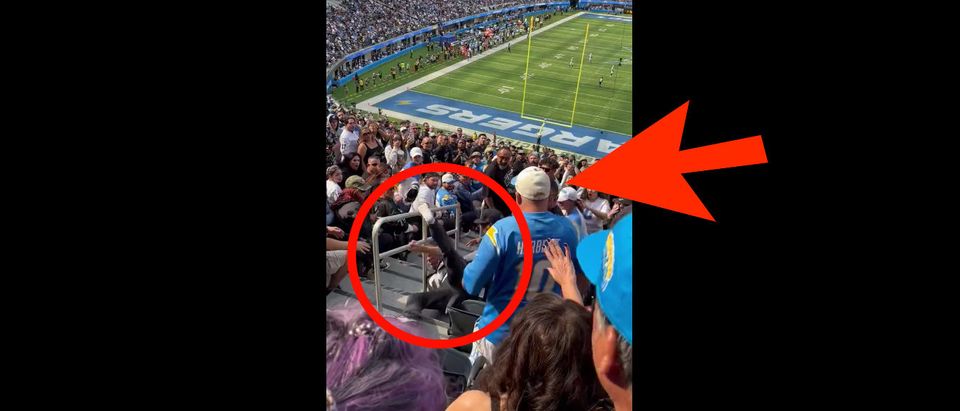 NFL fans fight at SoFi Stadium during Chargers-Raiders game